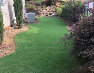 Freshly Mowed Backyard On The Side Of A House
