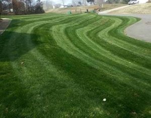 overseeding Tega Cay