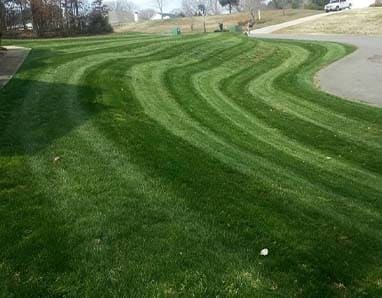 When to Overseed Your Lawn in North Carolina