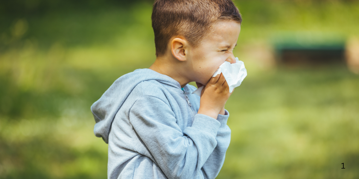 Weed Control For Seasonal Allergies