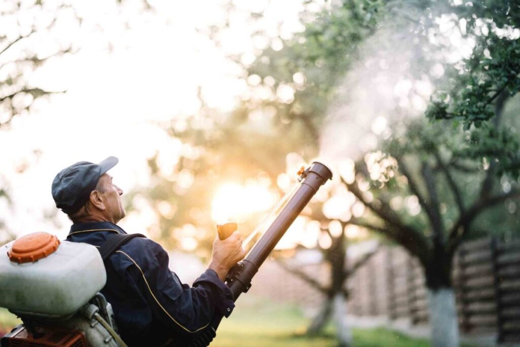 Mosquito-Proof Your Lawn Before Summer Starts