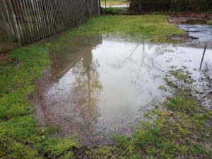 mosquito control