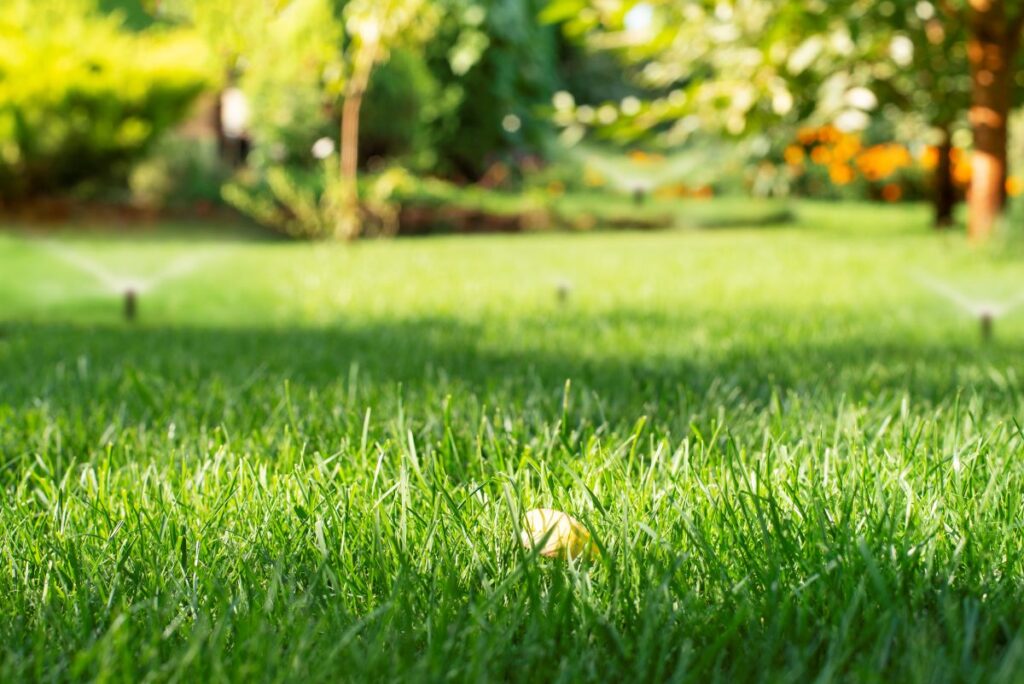 RDS Lawn Care Services