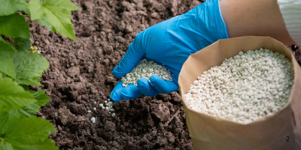 Fertilizer Mistakes to Avoid in Warm-to-Cool Weather Transitions