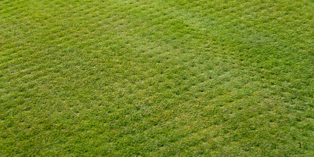 How Aeration Helps Prevent Lawn Disease