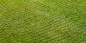 How Aeration Helps Prevent Lawn Disease