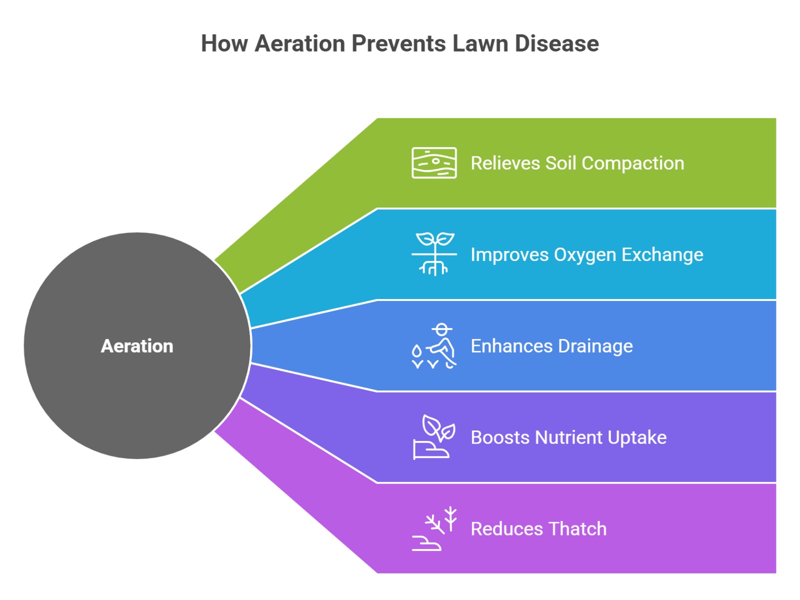 How Aeration Prevents Lawn Disease 