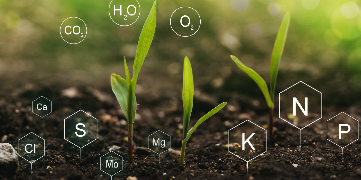 Pushing Nitrogen as Growth Slows