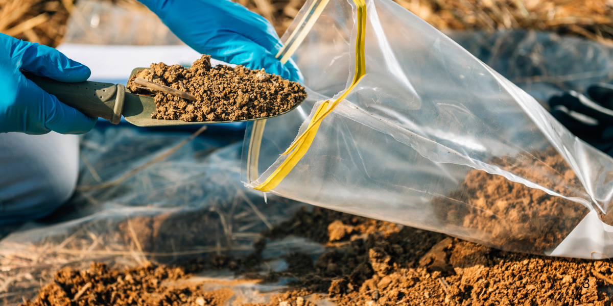 Skipping Soil Testing