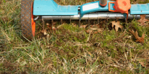 fall lawn renovation