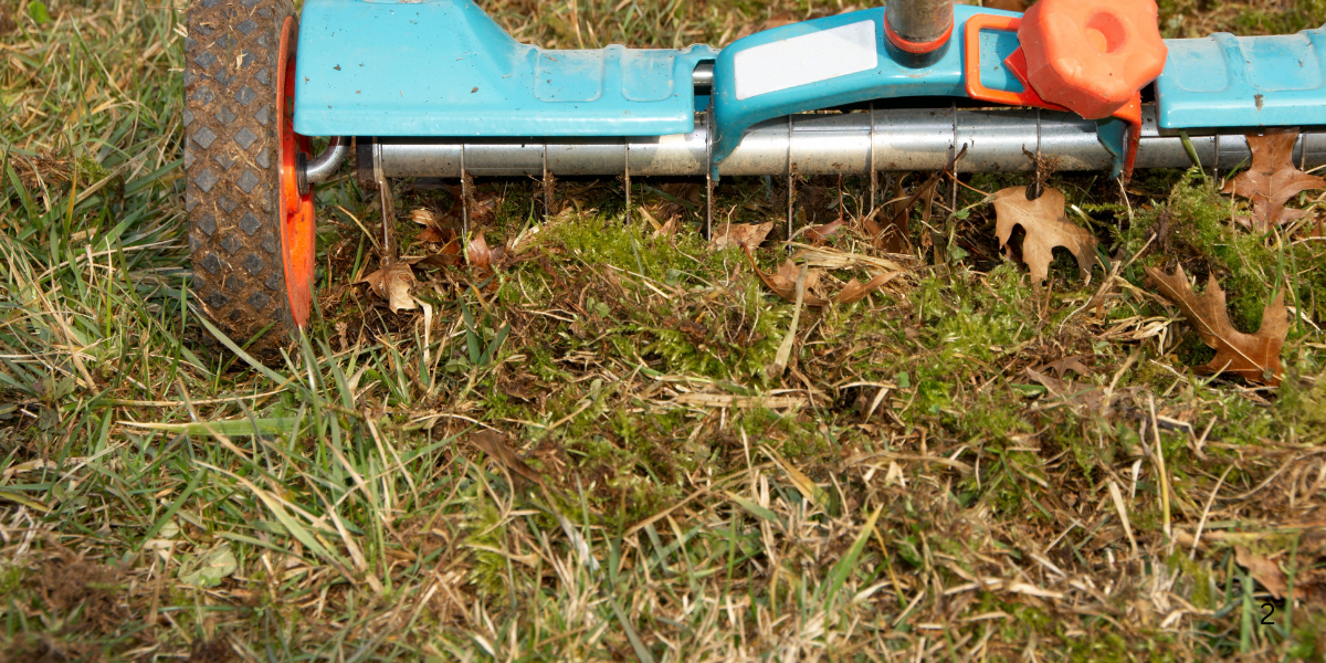 Why Lawn Aeration Matters