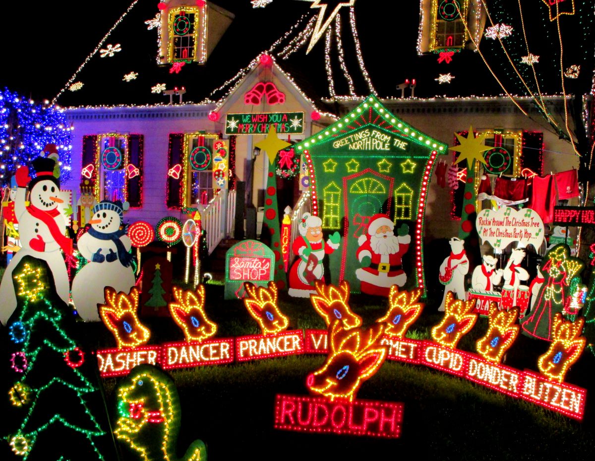 holiday lawn protection