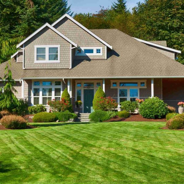 spring lawn care Tega Cay